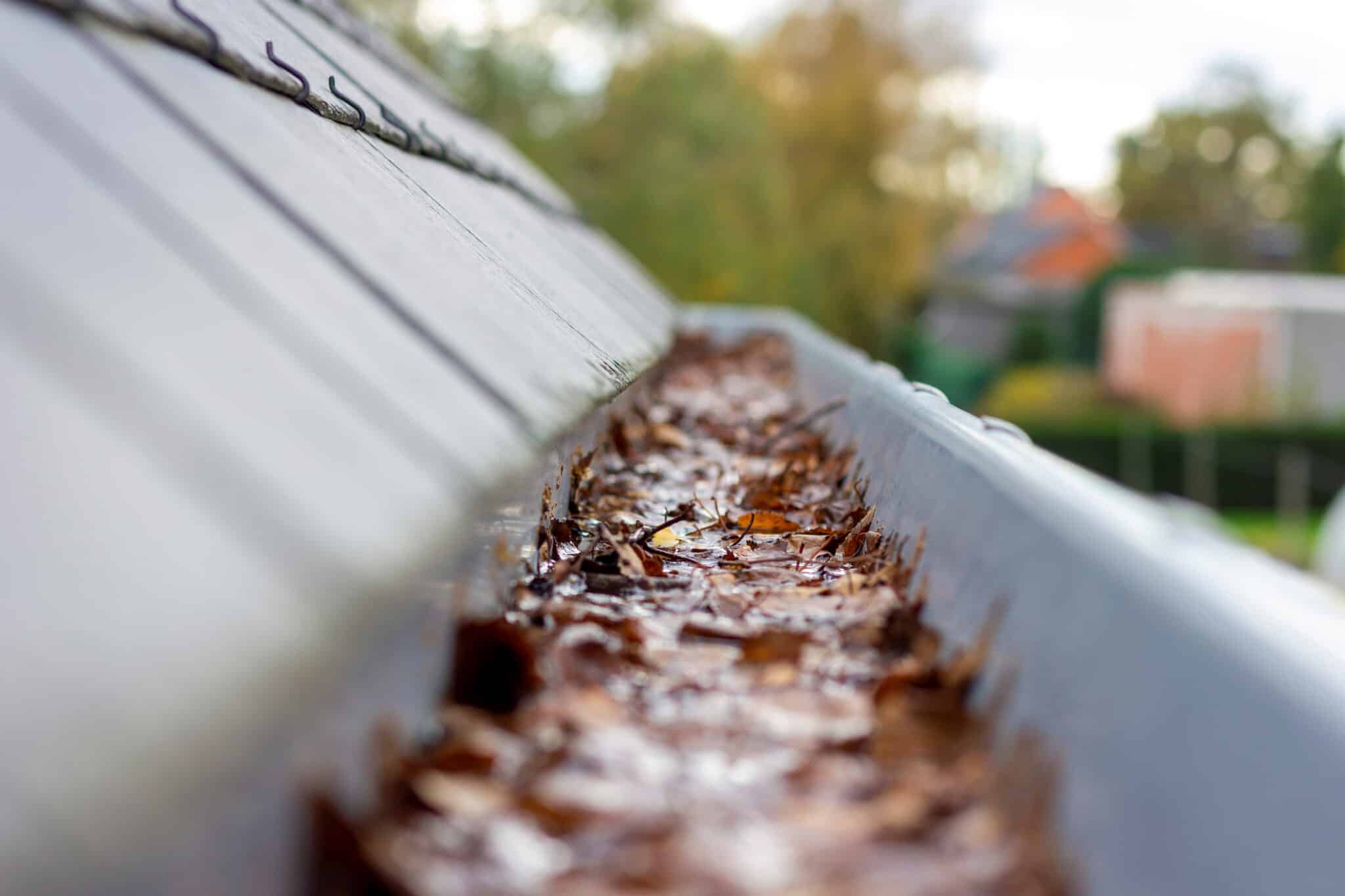 Water and debris collecting inside a gutter