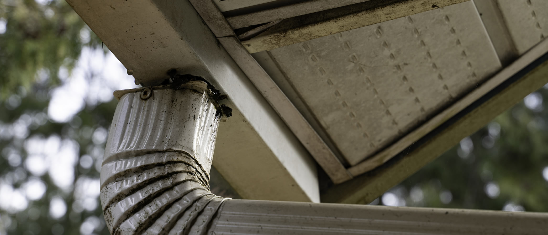 Downspout attached to a residential gutter