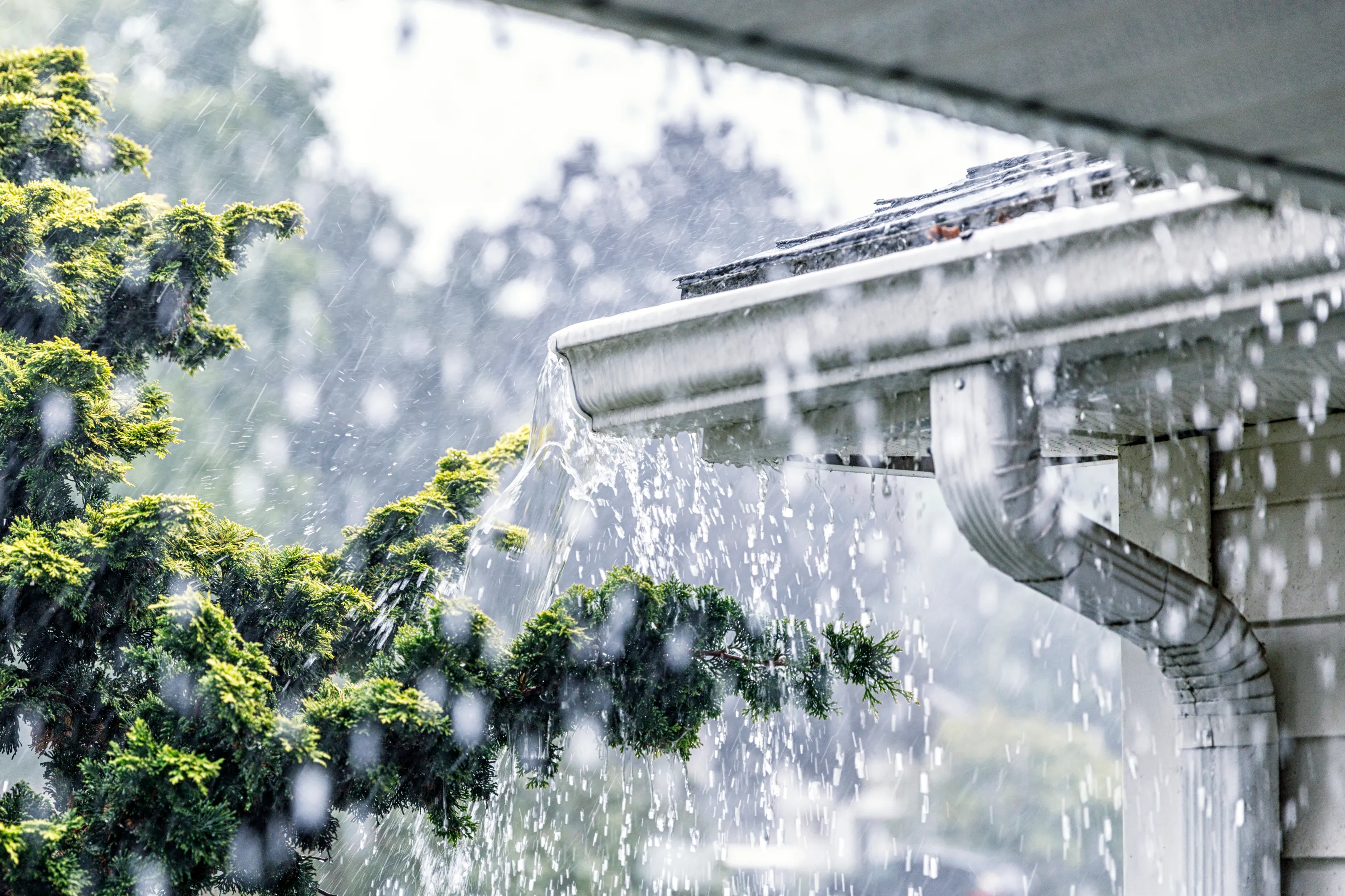 Rainwater overflowing from a gutter during a storm